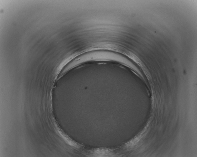 X0000062860842200601201727