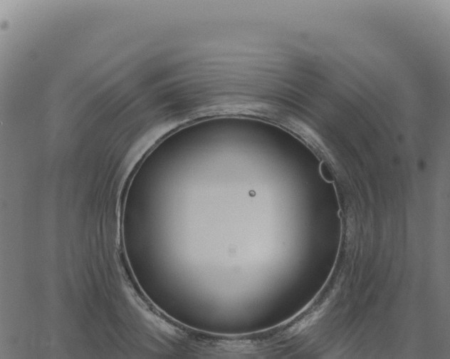 X0000062860844200601201727