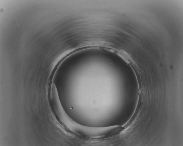 X0000062860846200601201727