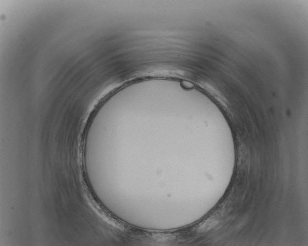 X0000062860848200601201727