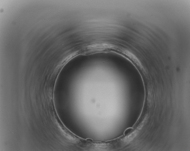 X0000062860849200601201727