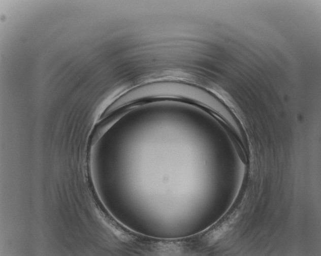 X0000062860850200601201727