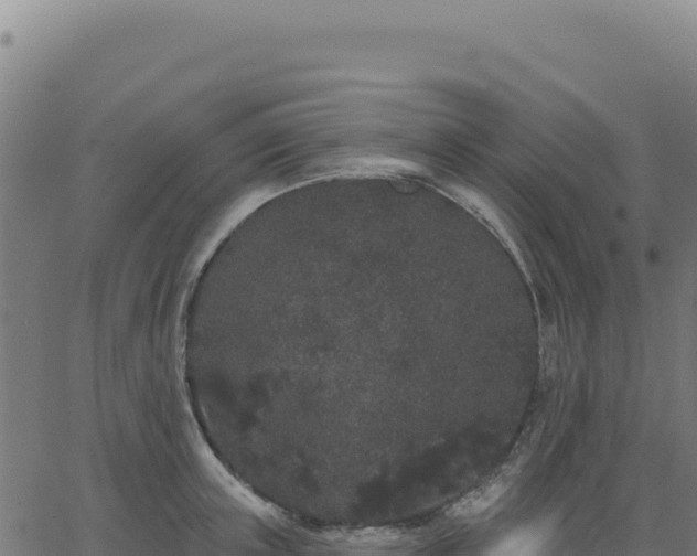 X0000062860851200601201727