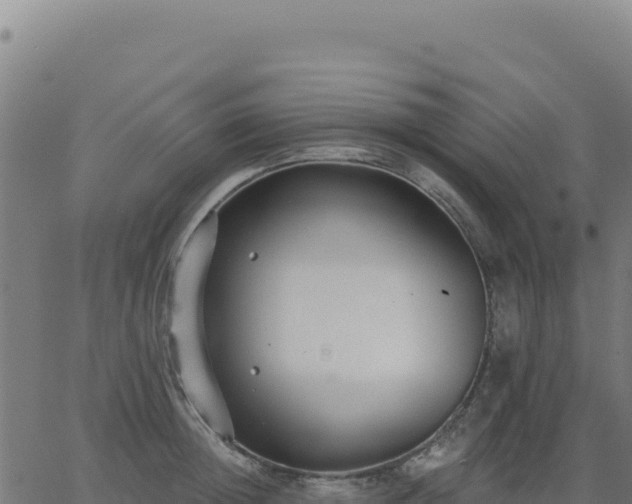 X0000062860852200601201727