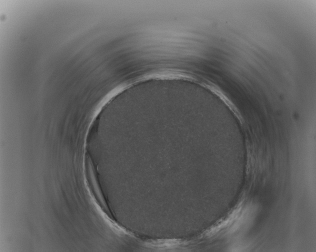 X0000062860853200601201727