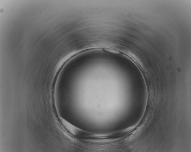 X0000062860854200601201727