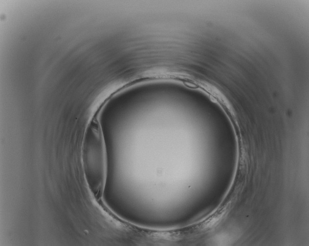 X0000062860855200601201727