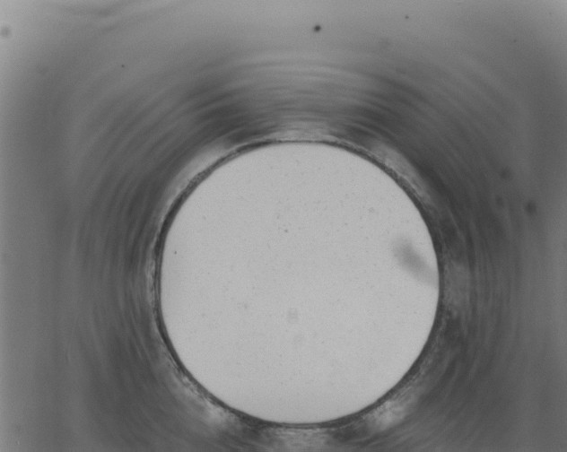 X0000062860856200601201727