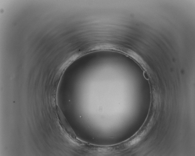 X0000062860857200601201727