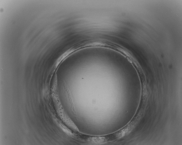 X0000062860858200601201727