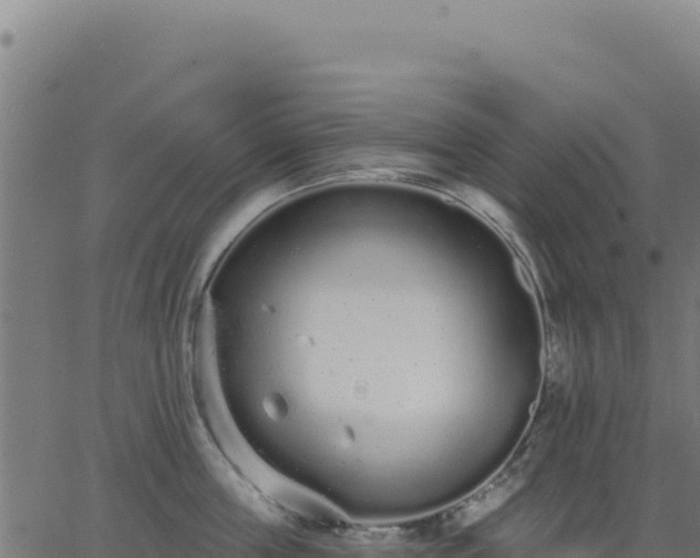 X0000062860859200601201727