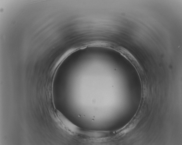 X0000062860860200601201727