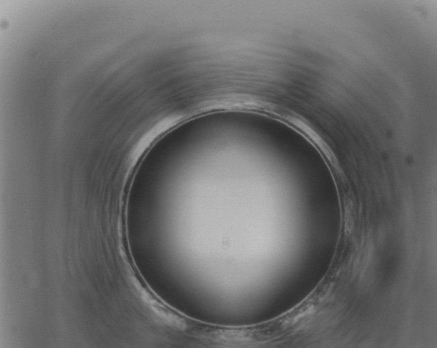 X0000062860861200601201727