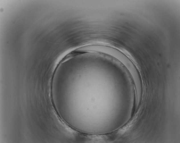 X0000062860862200601201727