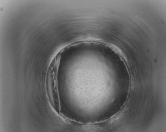 X0000062860863200601201727