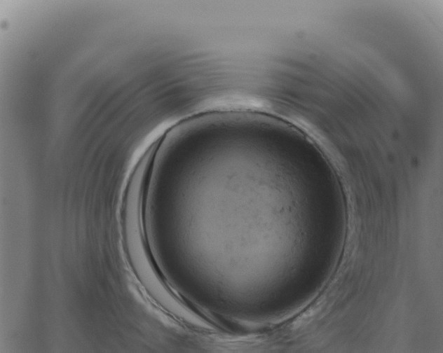 X0000062860864200601201727