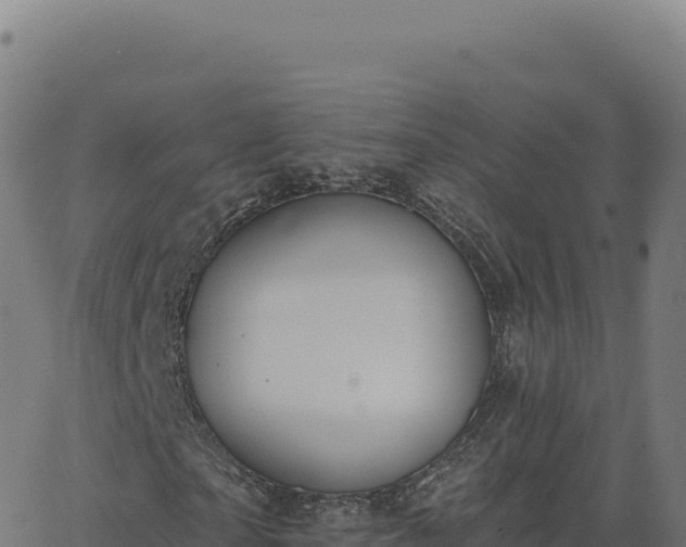 X0000062860865200601201726