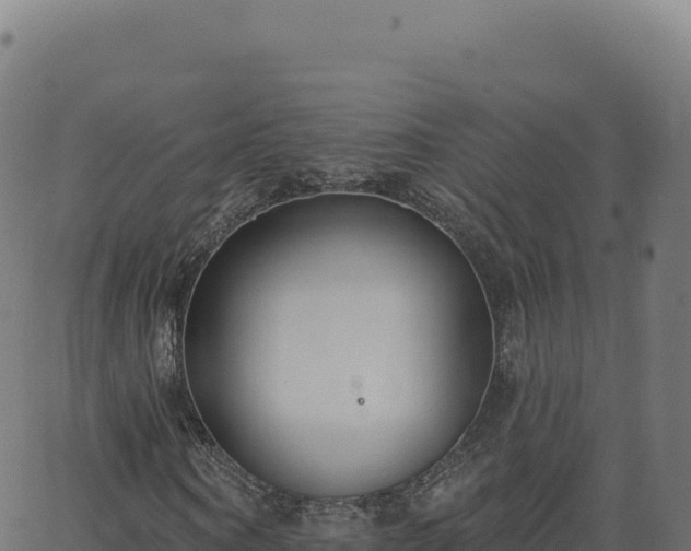 X0000062860866200601201726