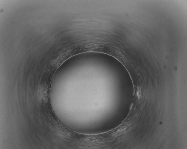 X0000062860867200601201726