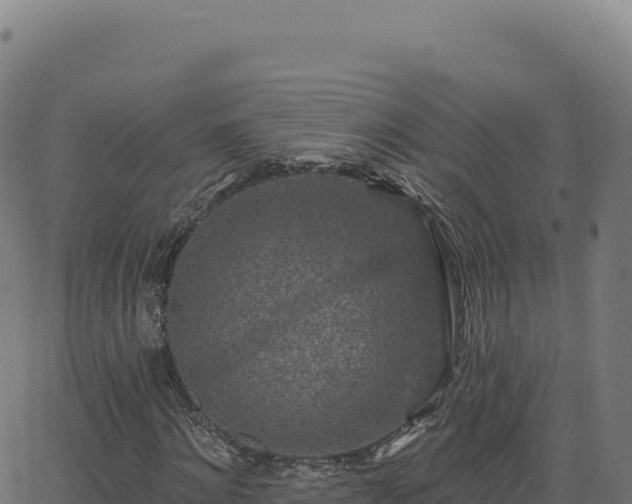 X0000062860868200601201726