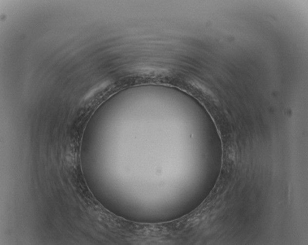 X0000062860869200601201726