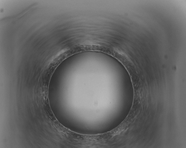 X0000062860870200601201726