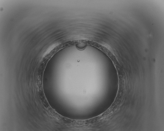 X0000062860871200601201726