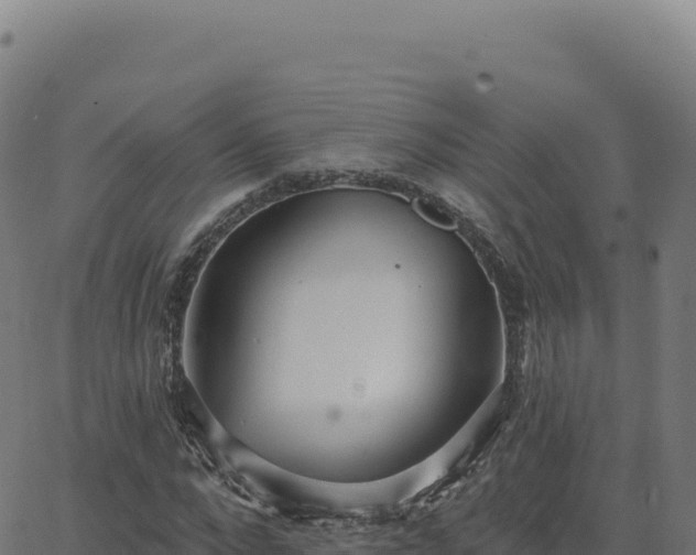 X0000062860872200601201726