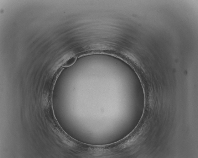 X0000062860873200601201726