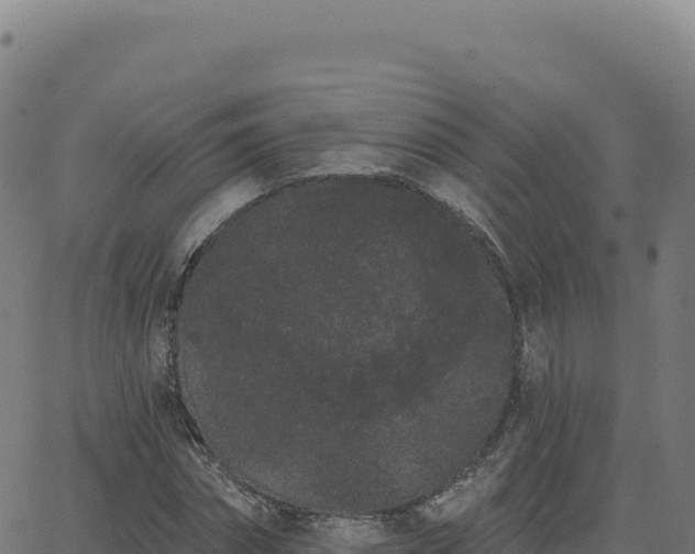 X0000062860874200601201726