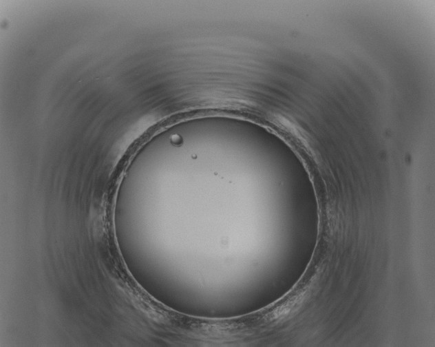 X0000062860875200601201726