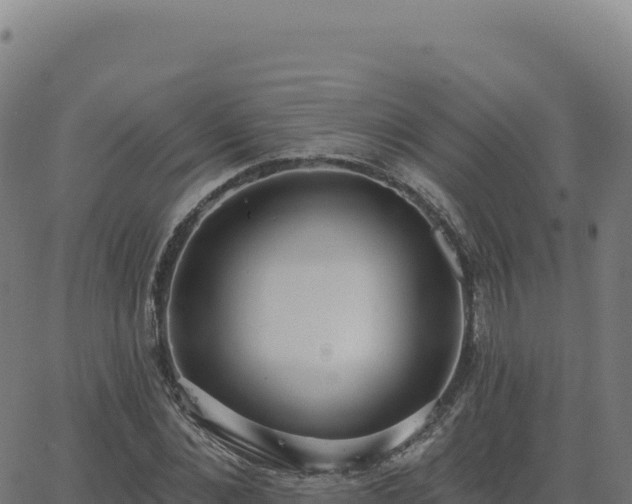 X0000062860876200601201726