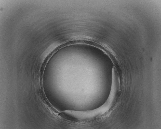 X0000062860877200601201726