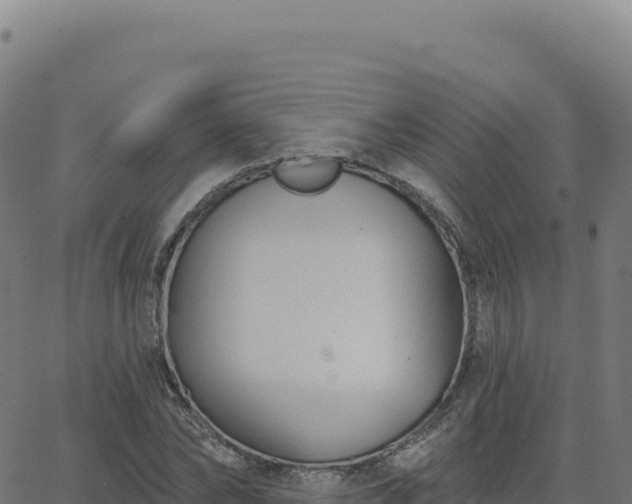 X0000062860878200601201726