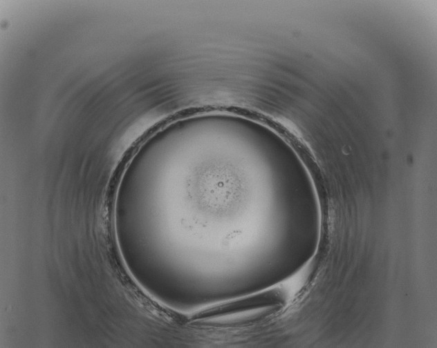 X0000062860879200601201726