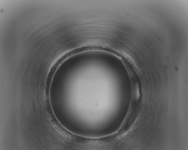 X0000062860880200601201726