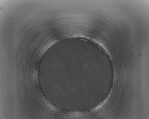 X0000062860881200601201726