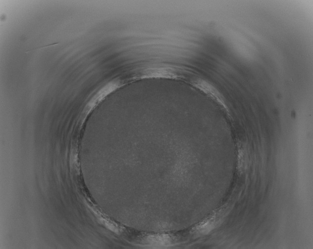 X0000062860882200601201726