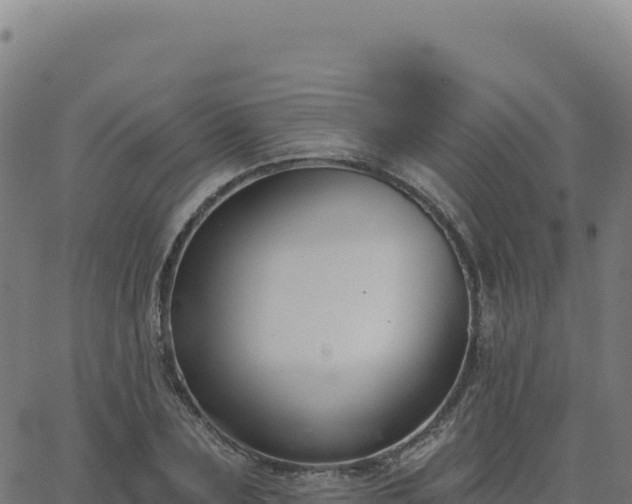 X0000062860883200601201726