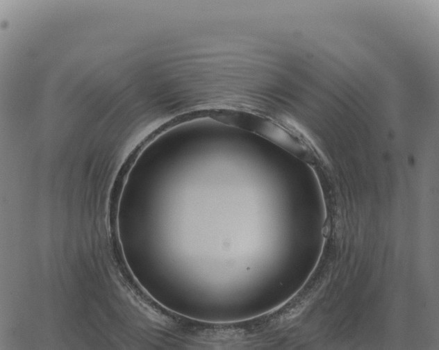 X0000062860884200601201726