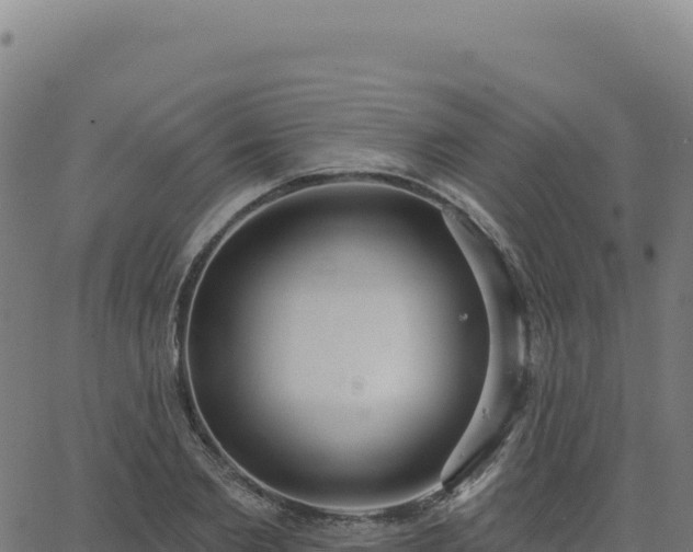 X0000062860885200601201726