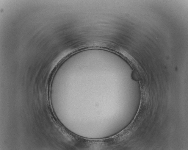 X0000062860886200601201726