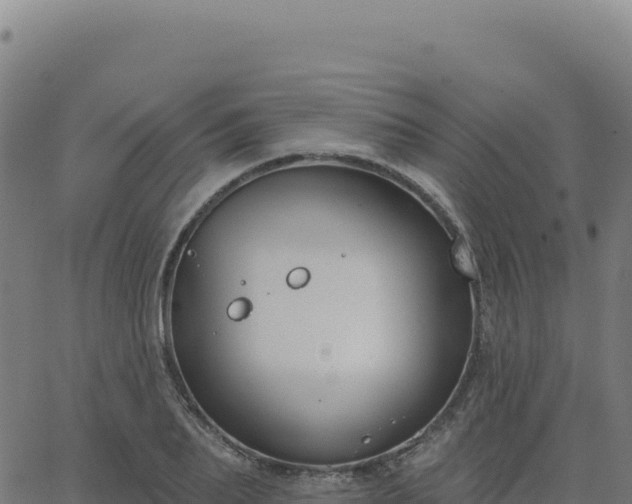 X0000062860887200601201726