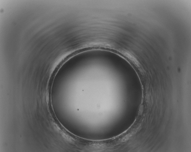 X0000062860888200601201726