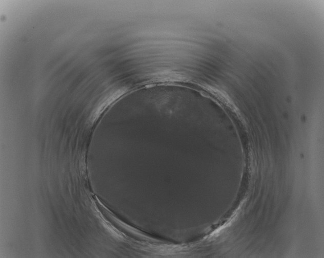 X0000062860889200601201726