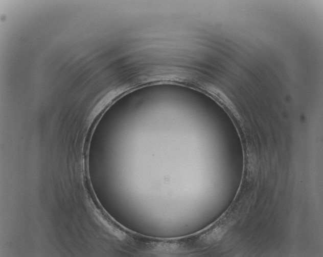 X0000062860890200601201726