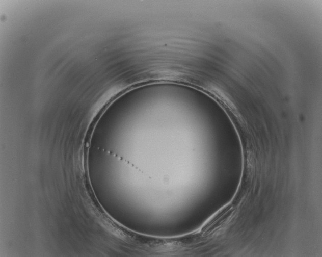 X0000062860891200601201726