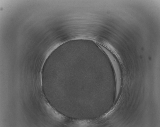 X0000062860892200601201726