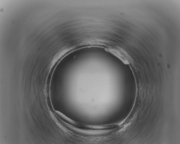 X0000062860893200601201726