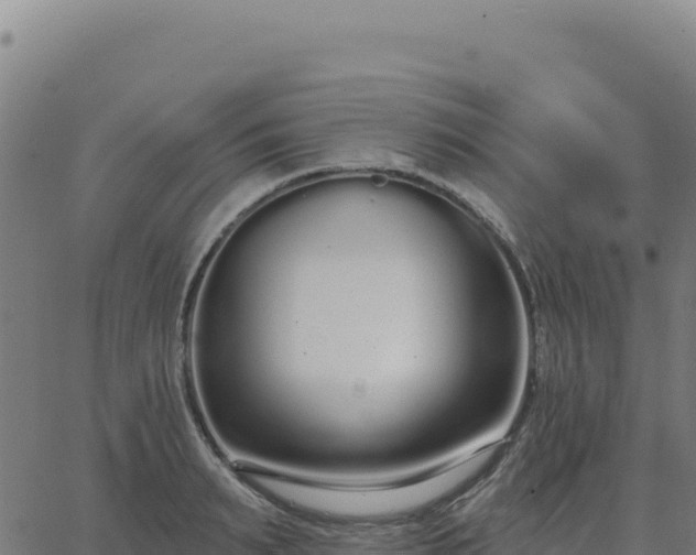 X0000062860895200601201726